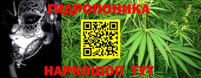 jwh Краснознаменск