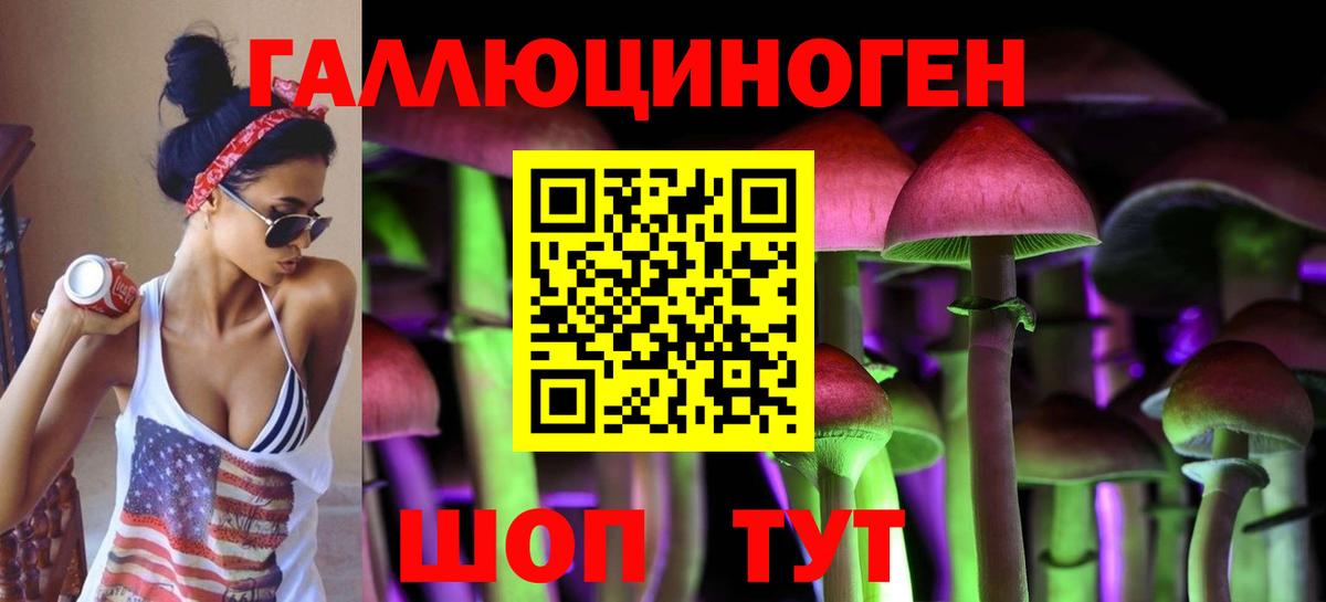 Галлюциногенные грибы Psilocybe Канаш